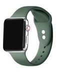 Silicone Band with Pins for Apple Watch